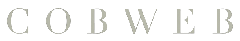 Cobweb logo